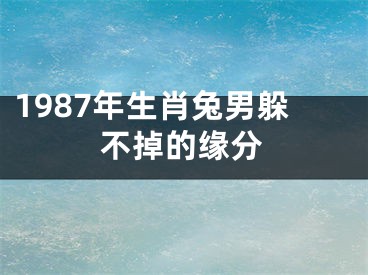 1987年生肖兔男躲不掉的缘分