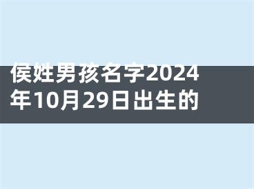 侯姓男孩名字2024年10月29日出生的