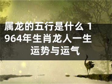 属龙的五行是什么 1964年生肖龙人一生运势与运气