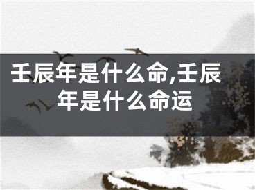 壬辰年是什么命,壬辰年是什么命运