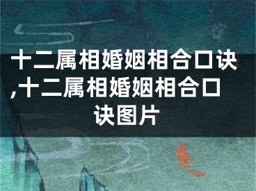 十二属相婚姻相合口诀,十二属相婚姻相合口诀图片