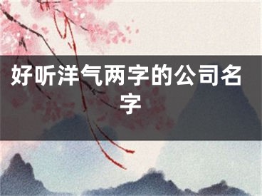 好听洋气两字的公司名字