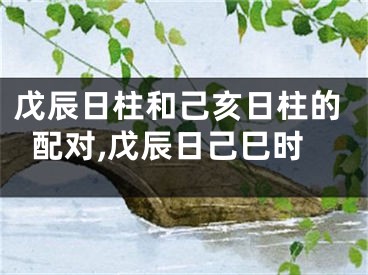 戊辰日柱和己亥日柱的配对,戊辰日己巳时