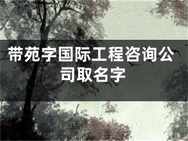 带苑字国际工程咨询公司取名字