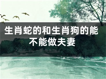 生肖蛇的和生肖狗的能不能做夫妻