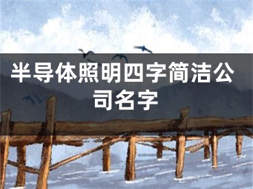 半导体照明四字简洁公司名字