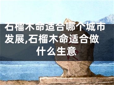 石榴木命适合哪个城市发展,石榴木命适合做什么生意