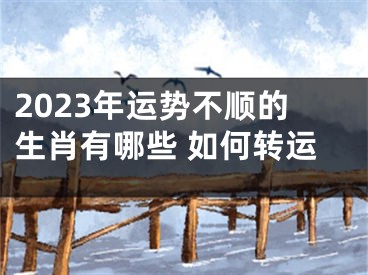 2023年运势不顺的生肖有哪些 如何转运