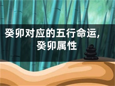 癸卯对应的五行命运,癸卯属性