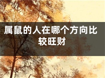 属鼠的人在哪个方向比较旺财