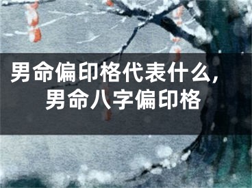 男命偏印格代表什么,男命八字偏印格