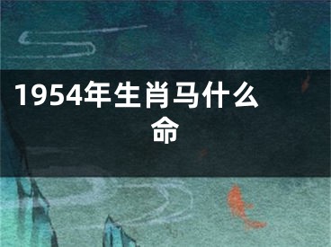 1954年生肖马什么命