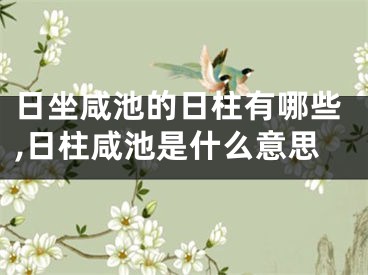 日坐咸池的日柱有哪些,日柱咸池是什么意思