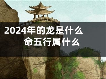 2024年的龙是什么命五行属什么
