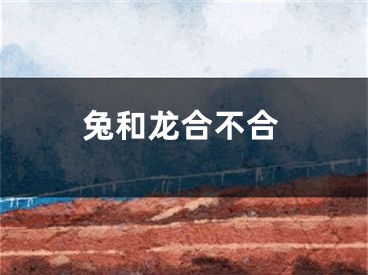兔和龙合不合