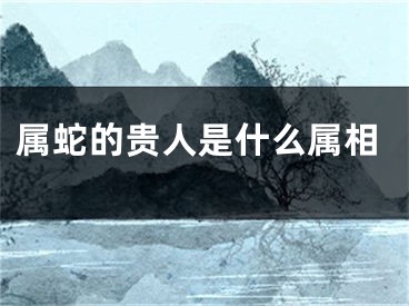 属蛇的贵人是什么属相