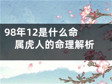 98年12是什么命 属虎人的命理解析