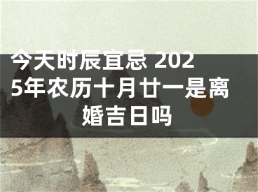 今天时辰宜忌 2025年农历十月廿一是离婚吉日吗