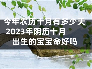 今年农历十月有多少天 2023年阴历十月出生的宝宝命好吗