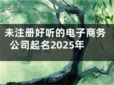 未注册好听的电子商务公司起名2025年