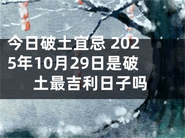 今日破土宜忌 2025年10月29日是破土最吉利日子吗