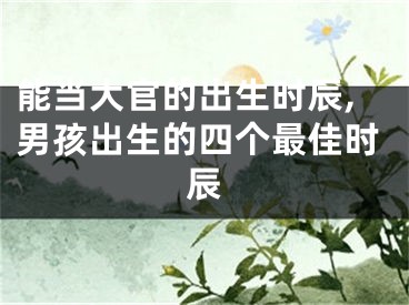 能当大官的出生时辰,男孩出生的四个最佳时辰