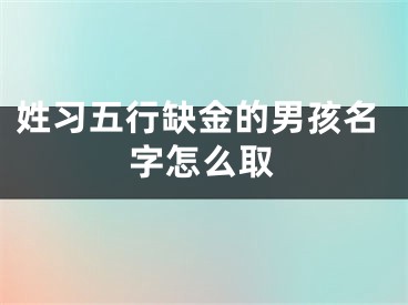 姓习五行缺金的男孩名字怎么取