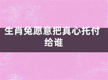 生肖兔愿意把真心托付给谁