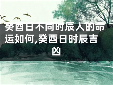 癸酉日不同时辰人的命运如何,癸酉日时辰吉凶