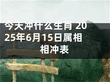 今天冲什么生肖 2025年6月15日属相相冲表