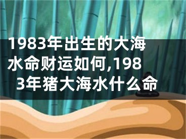 1983年出生的大海水命财运如何,1983年猪大海水什么命