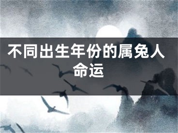 不同出生年份的属兔人命运