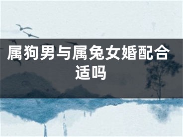 属狗男与属兔女婚配合适吗