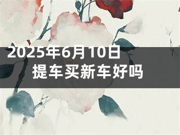 2025年6月10日提车买新车好吗