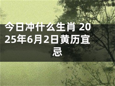 今日冲什么生肖 2025年6月2日黄历宜忌