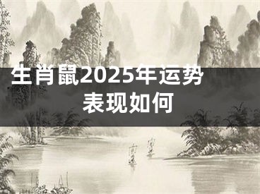生肖鼠2025年运势表现如何