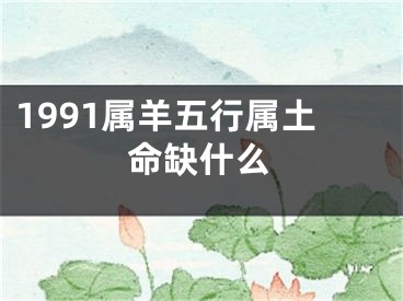 1991属羊五行属土命缺什么