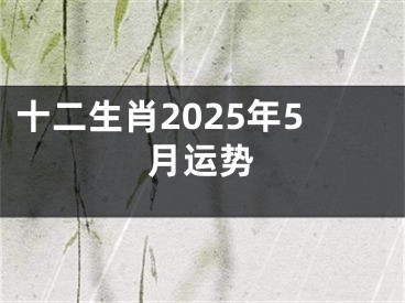 十二生肖2025年5月运势