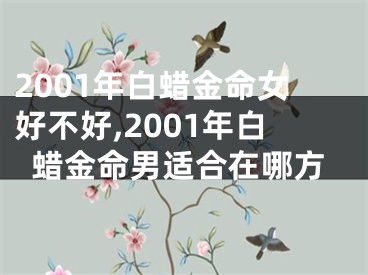 2001年白蜡金命女好不好,2001年白蜡金命男适合在哪方