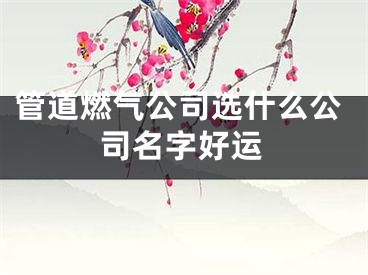 管道燃气公司选什么公司名字好运