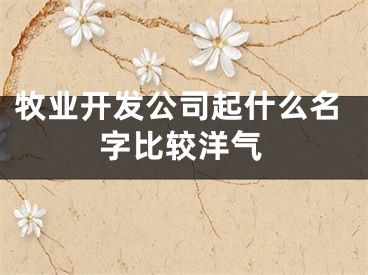 牧业开发公司起什么名字比较洋气