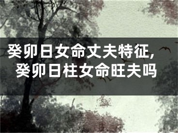 癸卯日女命丈夫特征,癸卯日柱女命旺夫吗