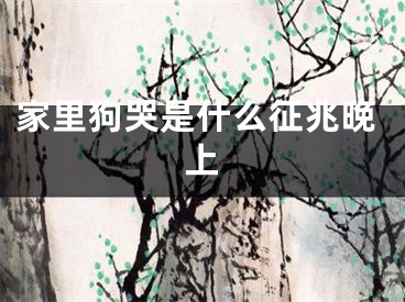 家里狗哭是什么征兆晚上