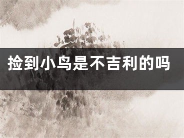 捡到小鸟是不吉利的吗
