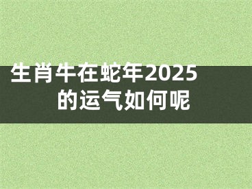 生肖牛在蛇年2025的运气如何呢