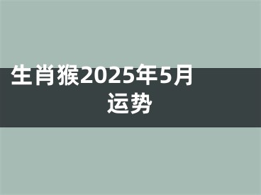 生肖猴2025年5月运势