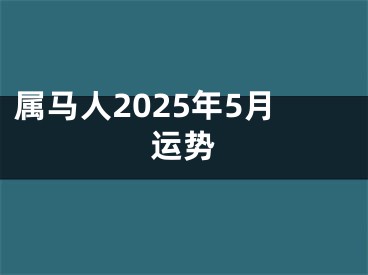 属马人2025年5月运势