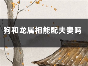 狗和龙属相能配夫妻吗