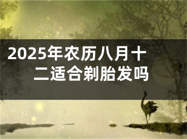 2025年农历八月十二适合剃胎发吗