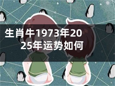 生肖牛1973年2025年运势如何